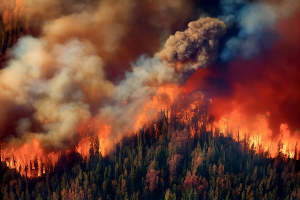 Wildfire Risk and Your Business: Insurance and Recovery Steps That Matter