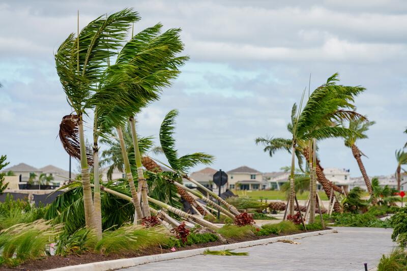 5 Steps that You Should Take Before Hurricane Season if You Own a Business