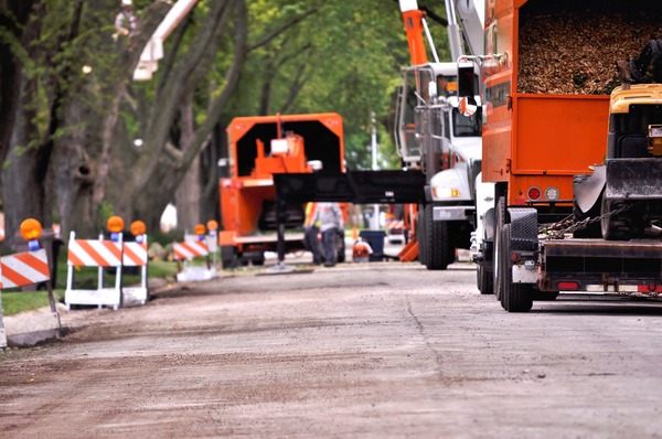 Tree Removal Risks: How to Protect Your Property and Your Wallet with the Right Insurance